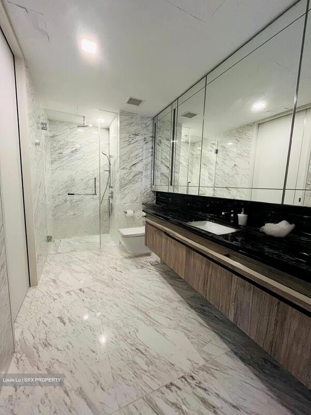 Wallich Residence  (D2), Condominium #456821791